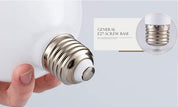 5W E27 G80 LED Filament Bulb | Warm White 3000K & Cool White 6000K Decorative Edison Lamp