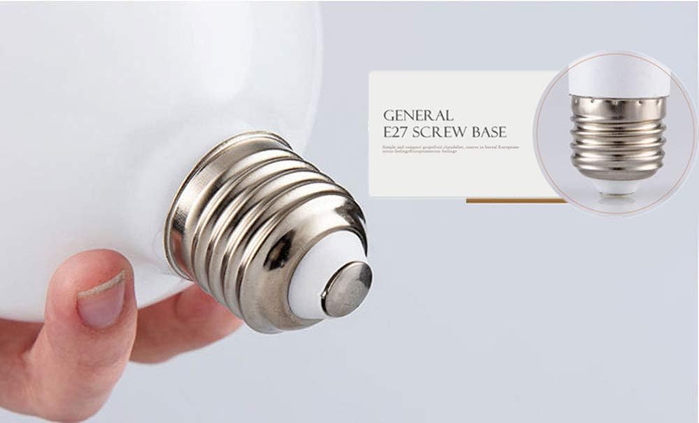 5W E27 G80 LED Filament Bulb | Warm White 3000K & Cool White 6000K Decorative Edison Lamp