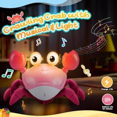 Hapikids Crawling Crab Baby Toy – Dancing, Sensory & Tummy Time Gift for 0–3 Yrs