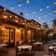 Feston String Light 10W – 5m Outdoor Decorative Lighting with 10 Bulbs, 3000K Warm White, Long Bright Effect