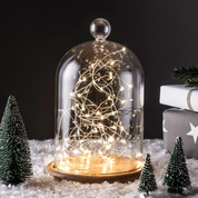 Battery-Operated Indoor Fairy Lights