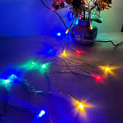 Multi-Coloured Party Fairy Lights