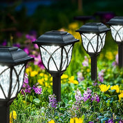 6-Pack Warm White Solar Garden Lights for Pathways