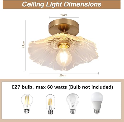 Flush Mount Ceiling Light with Clear Glass Shade, E27