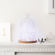 Battery-Operated Indoor Fairy Lights