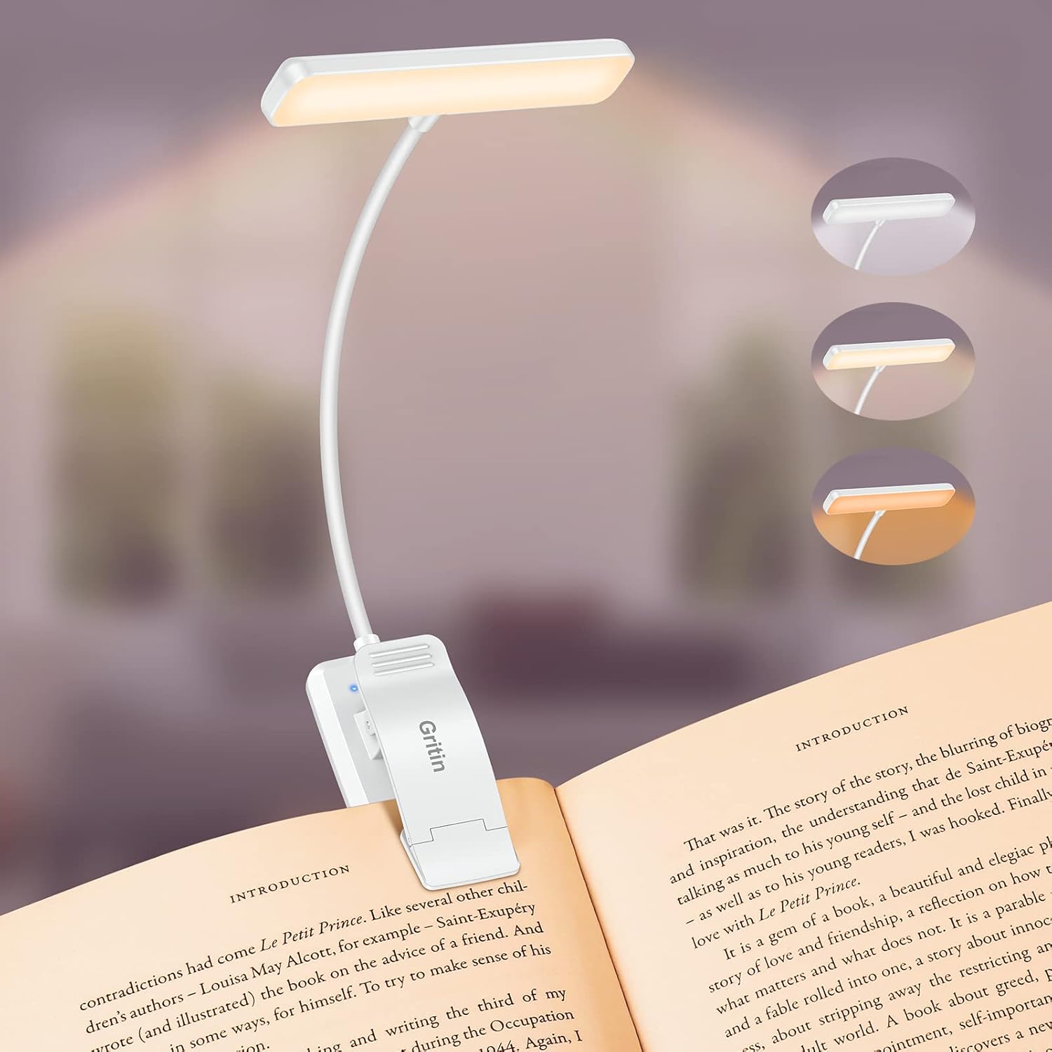 Rechargeable 19 LED Book Light with Flexible Neck