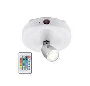 LED Spotlights Ceiling Light-Dimmable Uplight with Remote for Lighting up Painting Picture