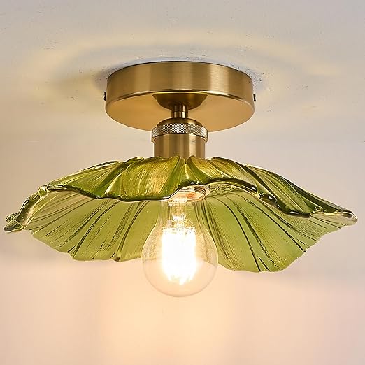 Flush Mount Ceiling Light with Clear Glass Shade, E27