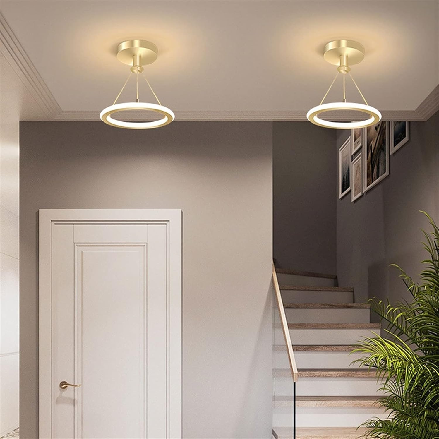 Clerance Sale - Modern Round LED Chandelier – Nordic Ceiling Light