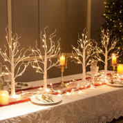 EAMBRITE 60cm White Birch Twig Christmas Tree with 24 LED Lights – Battery Tabletop Décor