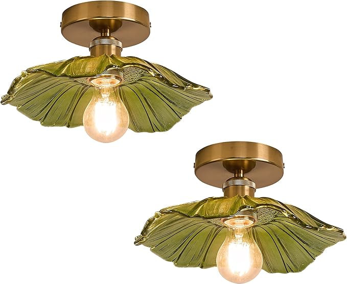 Flush Mount Ceiling Light with Clear Glass Shade, E27