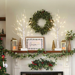 EAMBRITE 60cm White Birch Twig Christmas Tree with 24 LED Lights – Battery Tabletop Décor