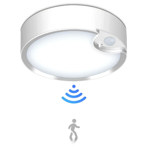 Motion Sensor Light Indoor, Battery Operated Ceiling Light, Battery Powered Shed Lights for Bathroom Porch Stairs Garage