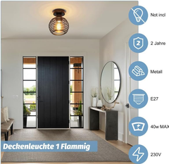 Vintage Black Ceiling Light – E27 Industrial Cage Semi Flush Mount Fixture for Hallway & Kitchen