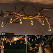 Pom Pom Fairy String Lights