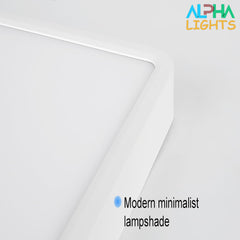 48W LED Panel Light, White 20inch  Flush Led Ceiling Light for Kitchen Bedroom Living Room