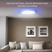 24W RGB LED Ceiling Light with Remote Control, Dimmable Colour Changing Flush Mount Ceiling Light