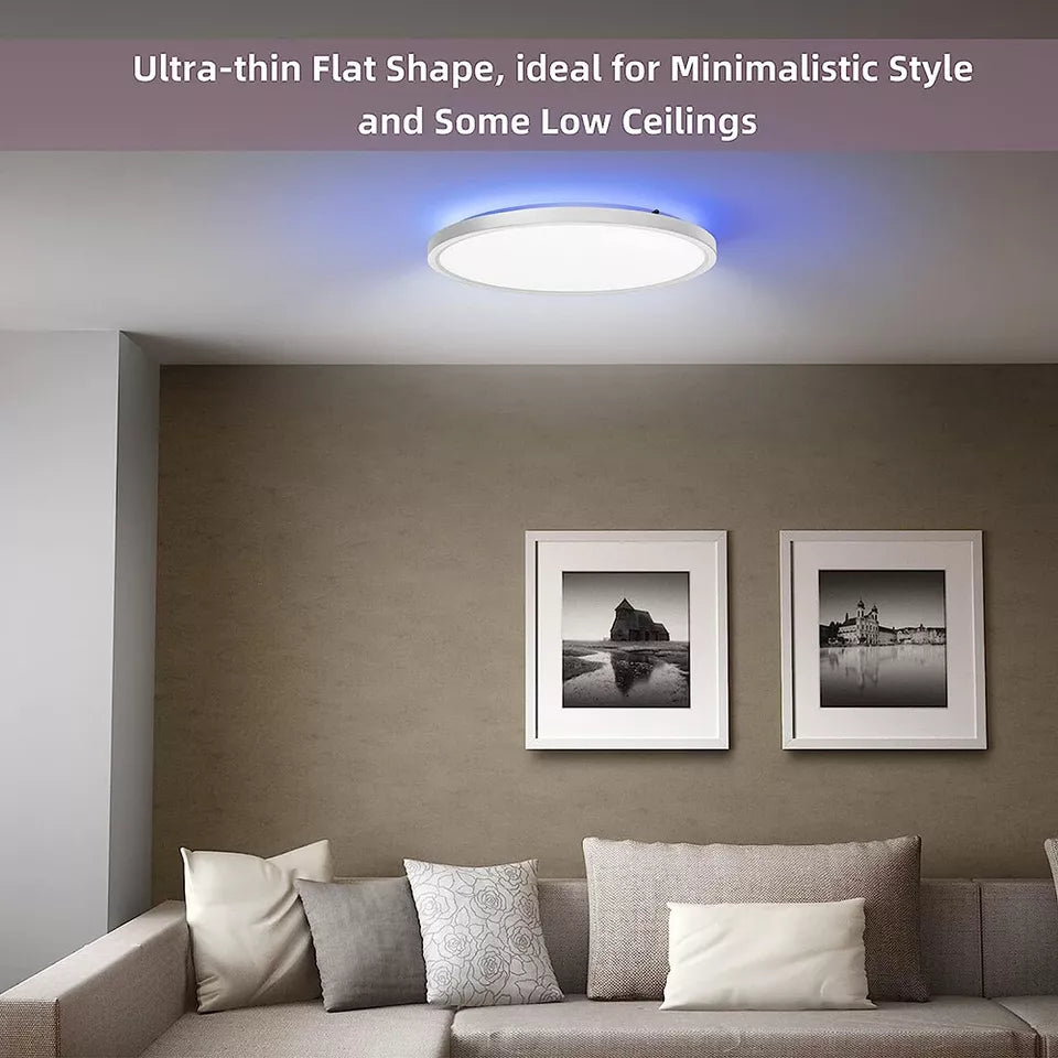 24W RGB LED Ceiling Light with Remote Control, Dimmable Colour Changing Flush Mount Ceiling Light