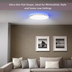 12-Inch 24W RGB Dimmable LED Flush Mount Ceiling Light - High Brightness 3200lm, Remote-Controlled