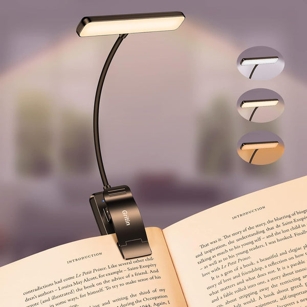 Rechargeable 19 LED Book Light with Flexible Neck