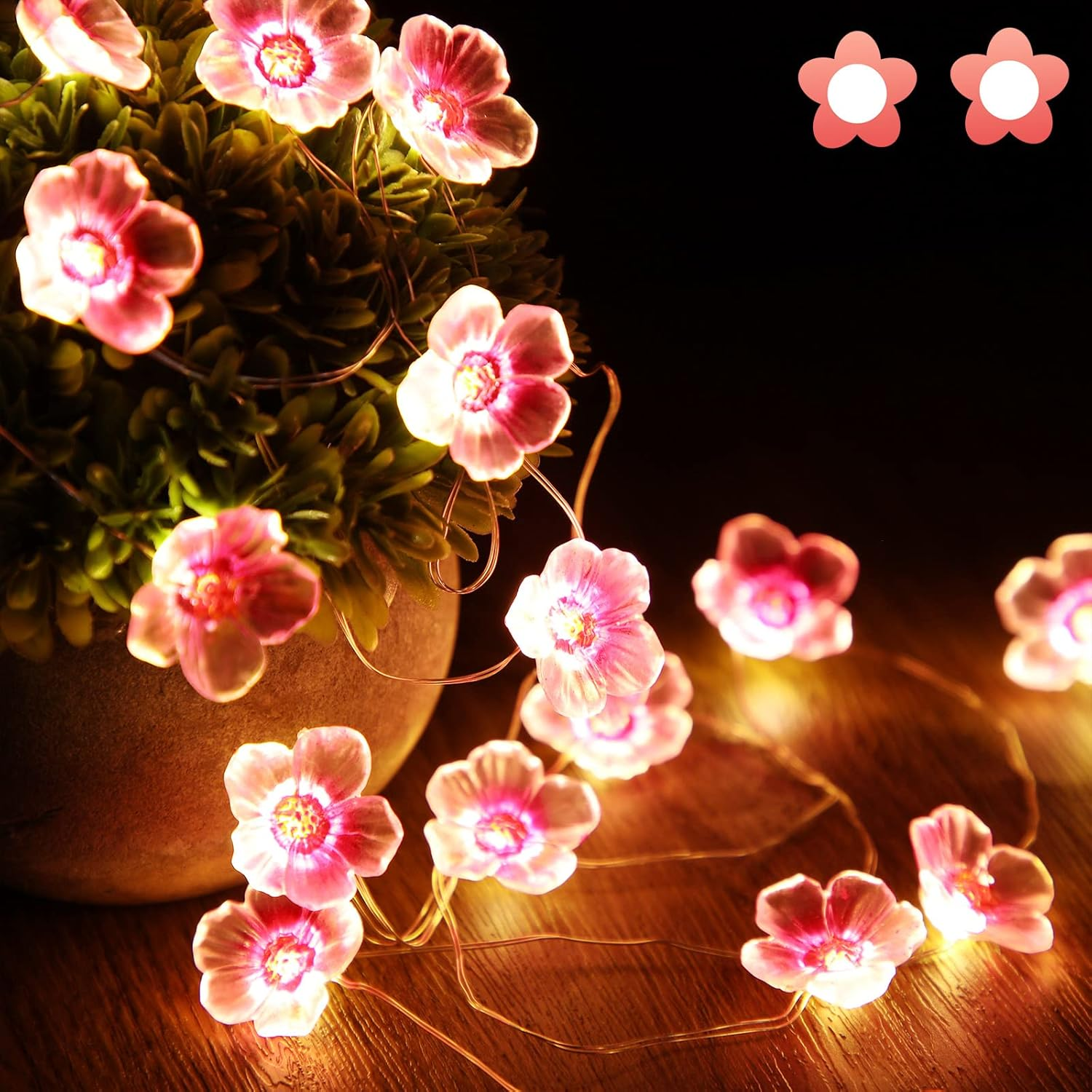 1_26015fb8-9734-440f-ba3c-d4fcd452ebf8.png