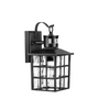 Outdoor Wall Lantern with Motion Sensor, Dusk-to-Dawn Black
