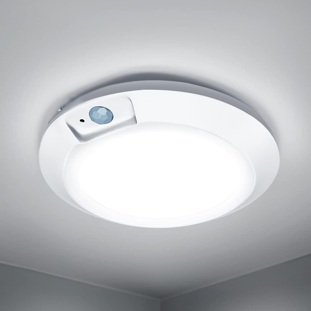 Motion Sensor Ceiling Light for Shed