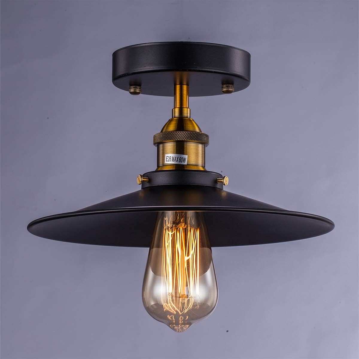 flush mount ceiling lights 