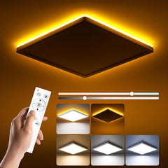 Dimmable LED Ceiling Light 24W with Night Light & Remote
