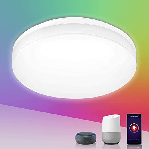 15W Smart LED Ceiling Light Dimmable, RGB Color Changing Ceiling Light, App or Voice Control, IP54 Waterproof