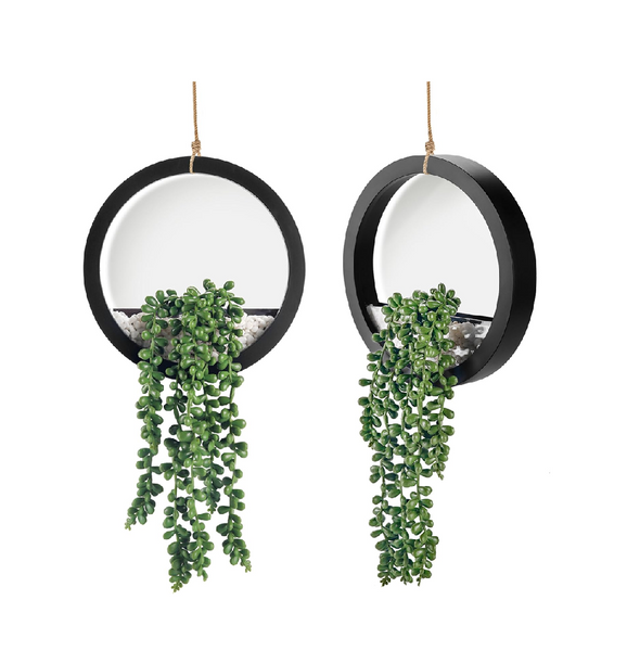 2 Pack Hanging Artificial Succulent Plants in Pots