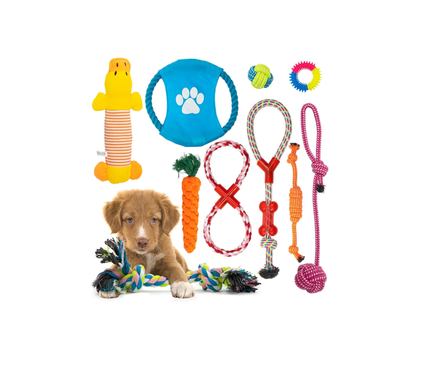 Dog Chew Toys 10-Pack, Rope & Squeaky Teething Toys for Small & Medium Dogs