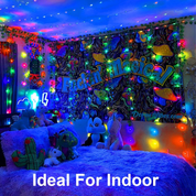 Multi-Coloured Battery Powered Fairy Lights