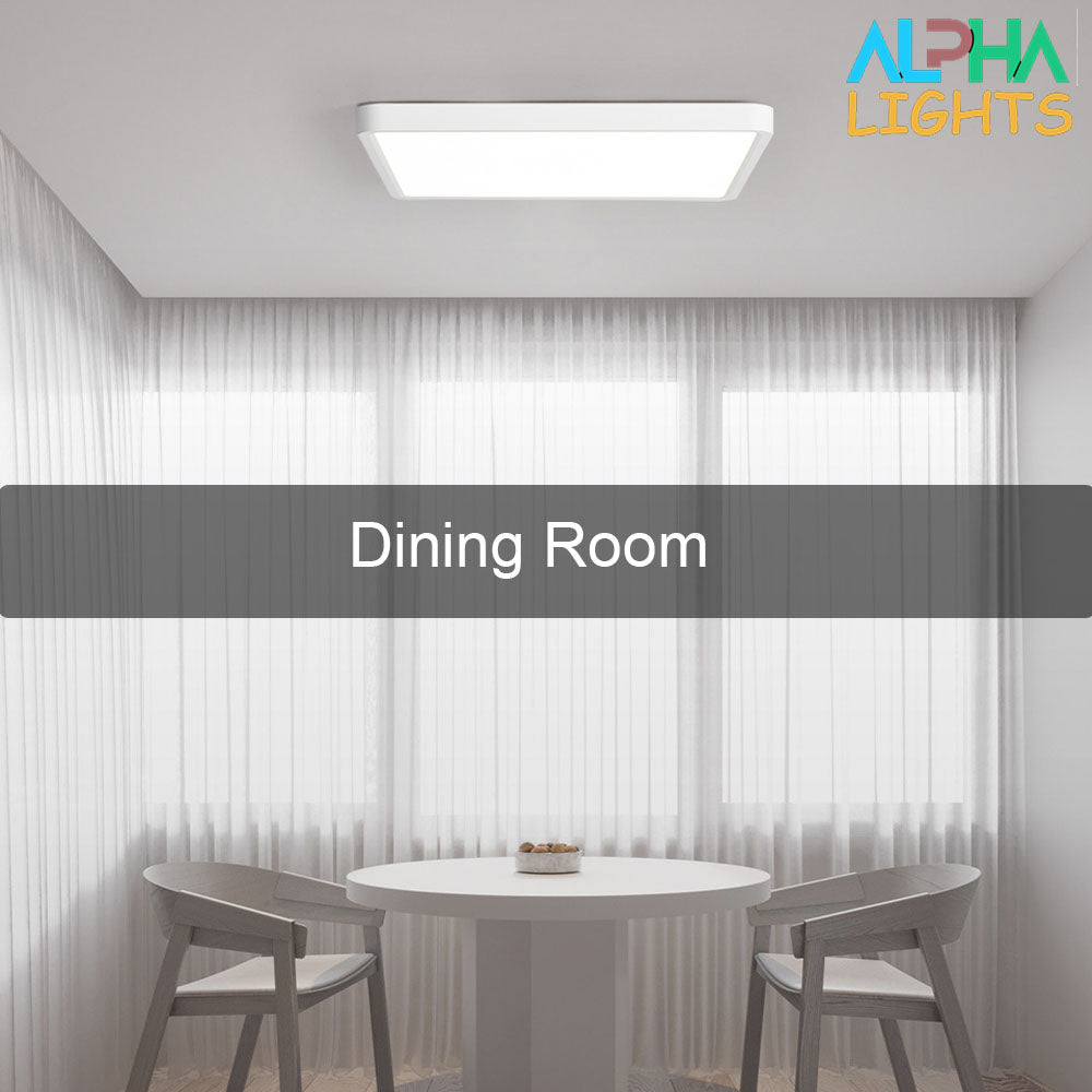 48W LED Panel Ceiling Light – 20 Inch Flush Mount White Fixture for Kitchen, Bedroom & Living Room