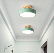 12W 8.6 Inch Green LED Ceiling Light, 3 Adjustable Color Temperatures (3000K/4000K/6000K), Modern Wood Flush Mount for Living Room, Bedroom, Kitchen, and Hallway