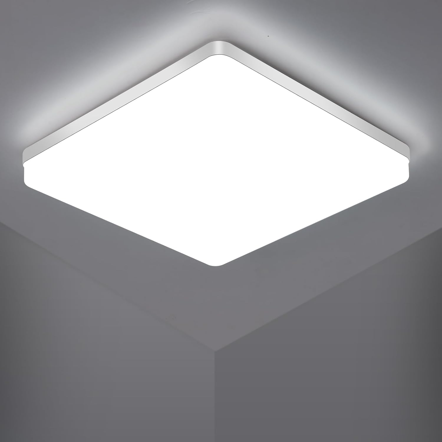 24_3464e28c-7010-41b9-be0f-f9afb12d1971.png