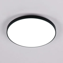 24W Ultra-Thin LED Ceiling Light with Dimmable 2000K Backlight, Warm Night Light & Timer, Modern 12 Inch Round Flush Mount for Bedroom Living Room Kitchen