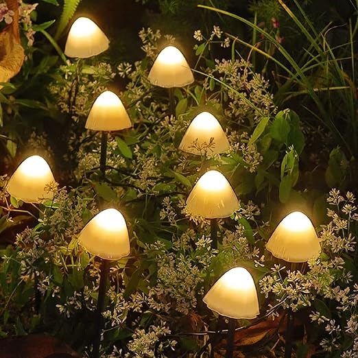 26_f3353dad-ecdb-474c-9756-bfbfcadced5b.jpg