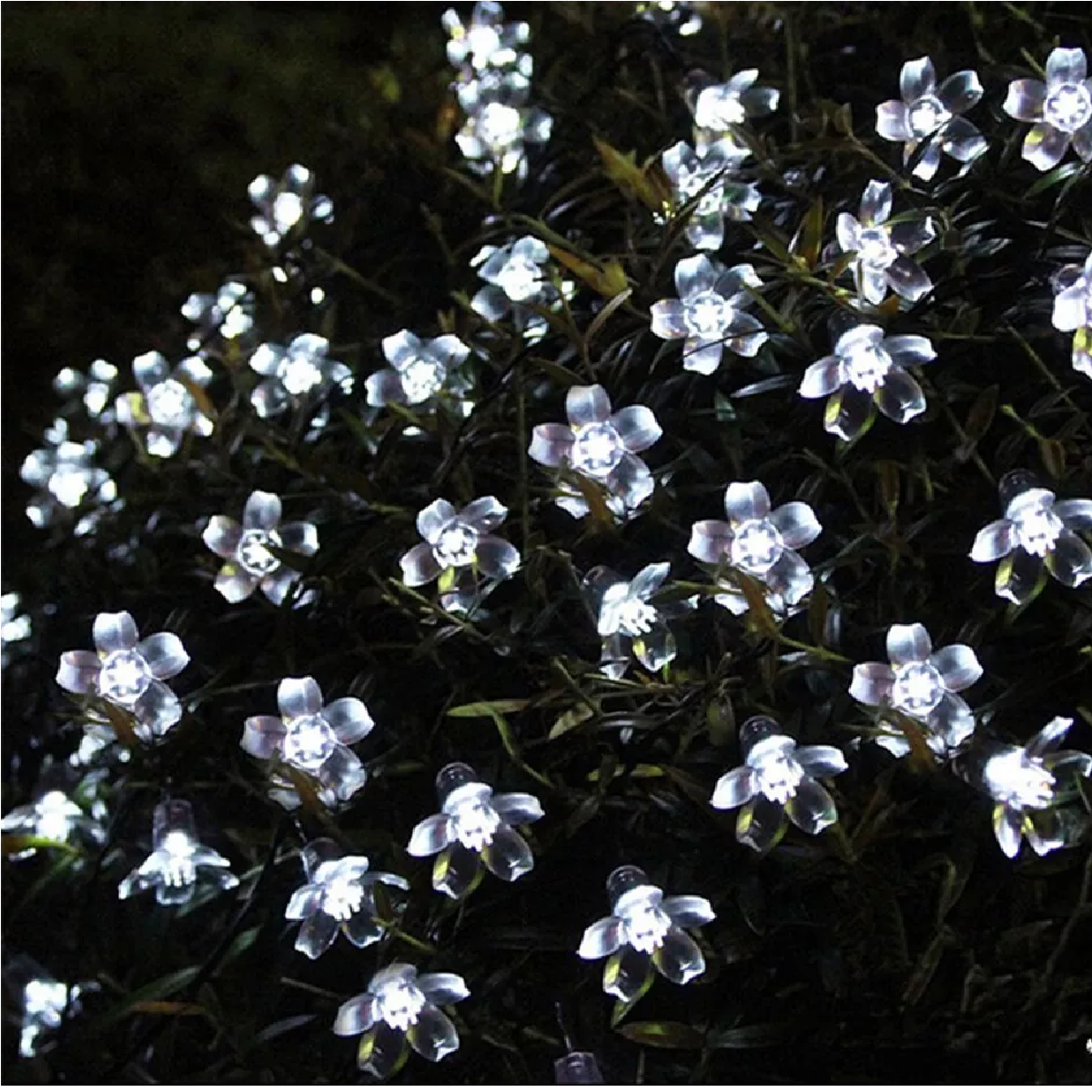 2_003a9cf0-ffcc-4940-8e7f-db410b5a65a7.png