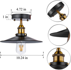 flush mount ceiling lights 