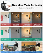 Outdoor Wall Lantern with Motion Sensor, Dusk-to-Dawn Black