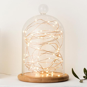Battery-Operated Indoor Fairy Lights
