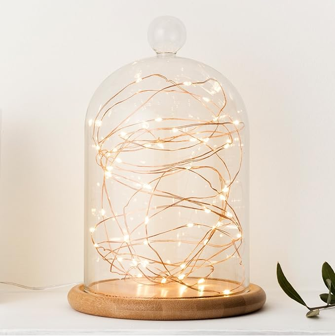 Battery-Operated Indoor Fairy Lights