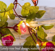 Rose Flower Fairy Lights