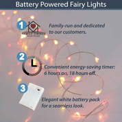 LED Outdoor Fairy lights