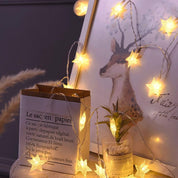 33ft Star Fairy Lights, 100 LEDs, 8 Modes, Plug-in