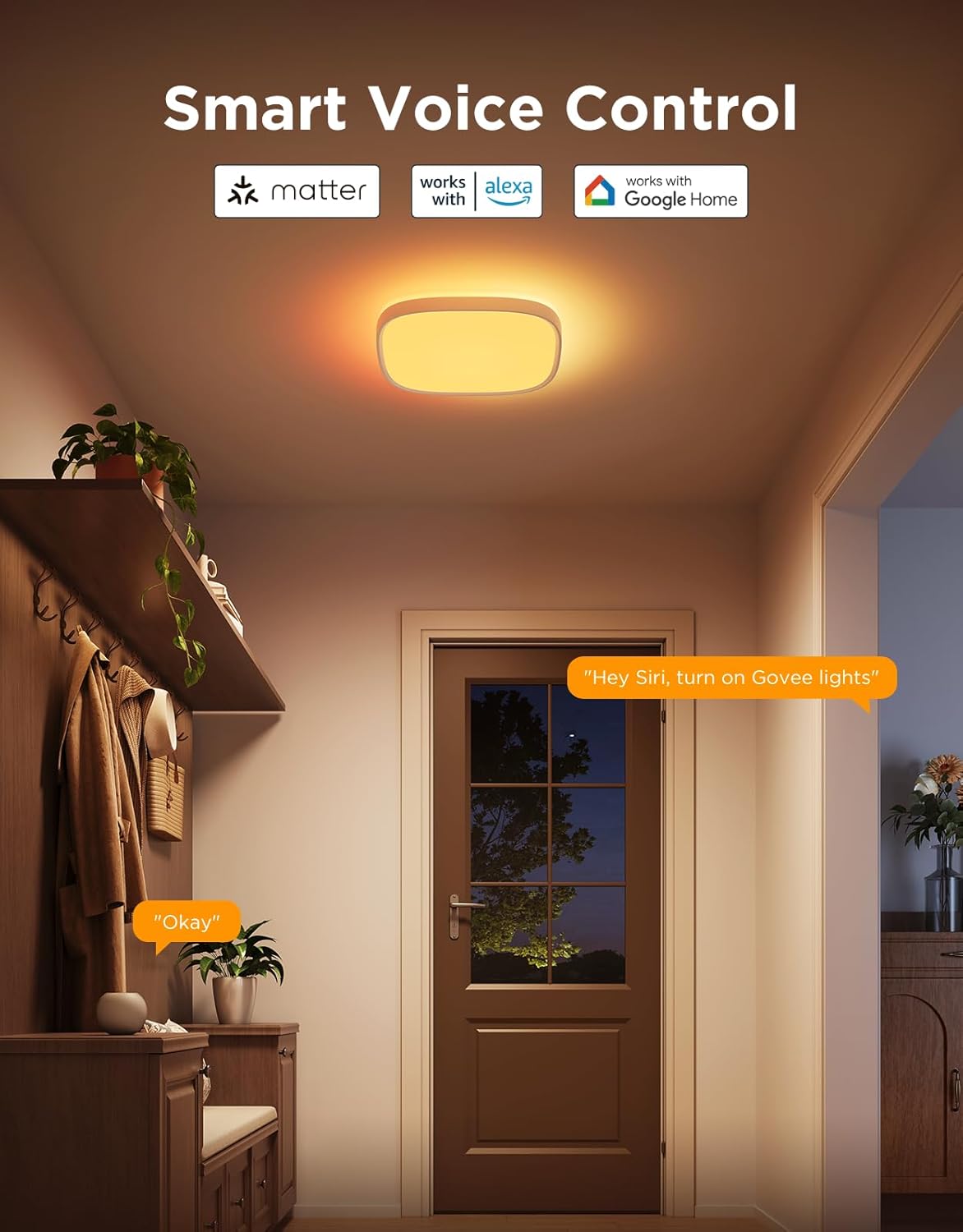 Smart RGBIC 30cm LED Ceiling Light