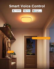 Smart RGBIC 30cm LED Ceiling Light