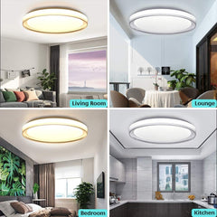 48W Dimmable LED Flush Ceiling Light, Modern with Transparent Edges, Remote Control