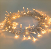 Outdoor Decor fairy lights